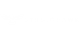 StudioHawk Case Study